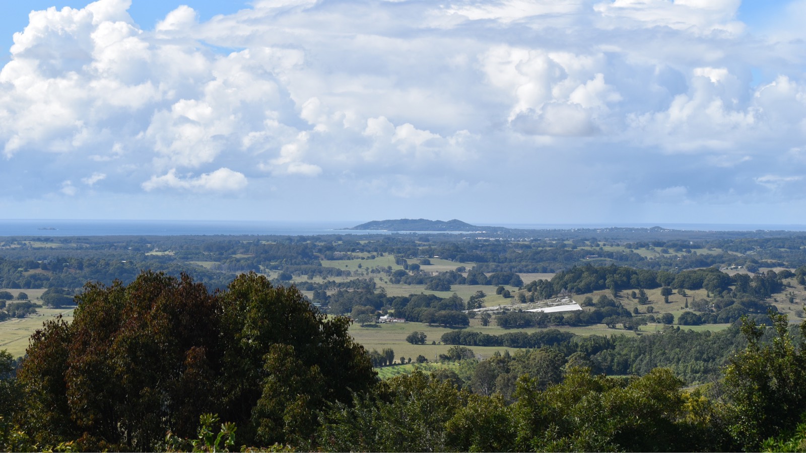 The Ultimate Guide to Building a Custom Home in Northern Rivers: Environmental Considerations